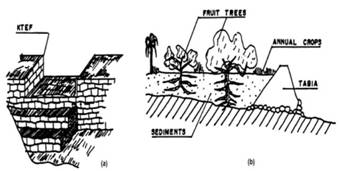 fig7.jpg