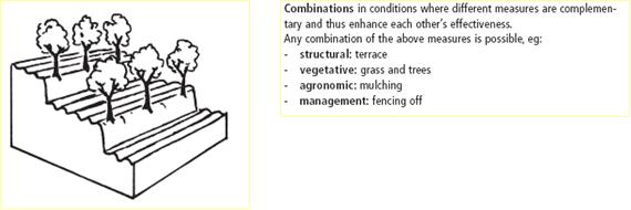 fig7.2.jpg